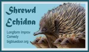 shrewd echidna